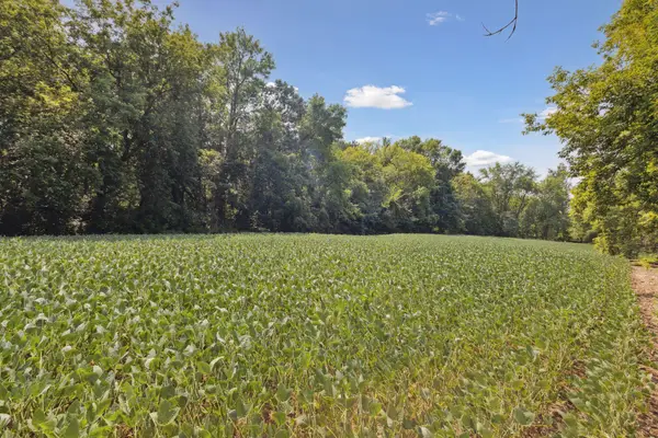 24x1 Holy Name Drive, Medina, MN 55340