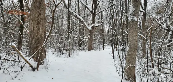 TBD 50th Street, Somerset, WI 54025