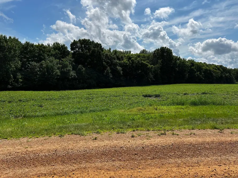 XX TBD Mellgren Lane, Chaska, MN 55318 - #3