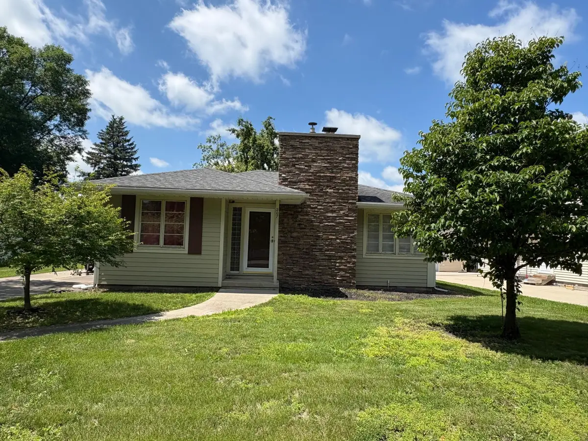 207 Meadow Lane, Benson, MN 56215 - #1