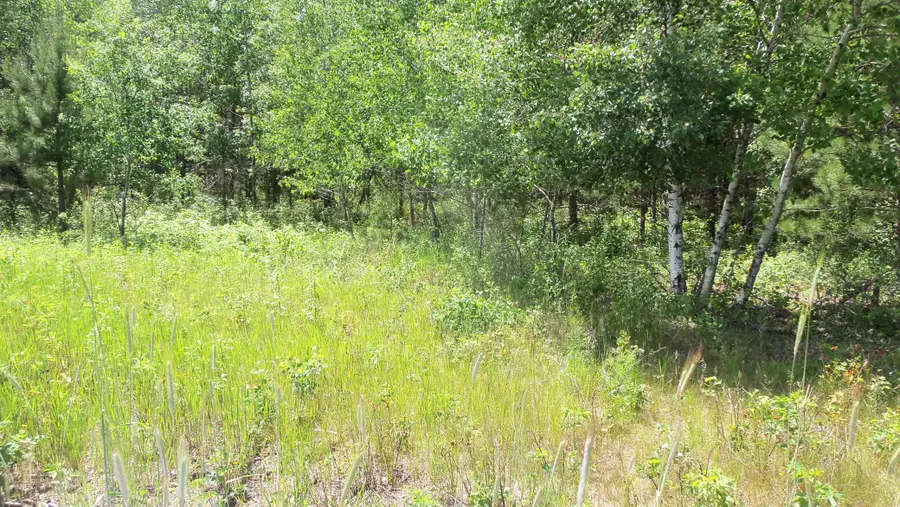 Lot 10 Maple Ln, Siren, WI 54872 - #3