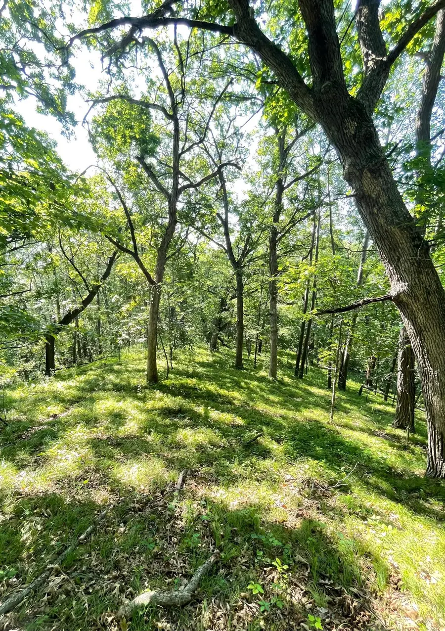 TBD Brown Lane, Pepin, WI 54759 - Image #2