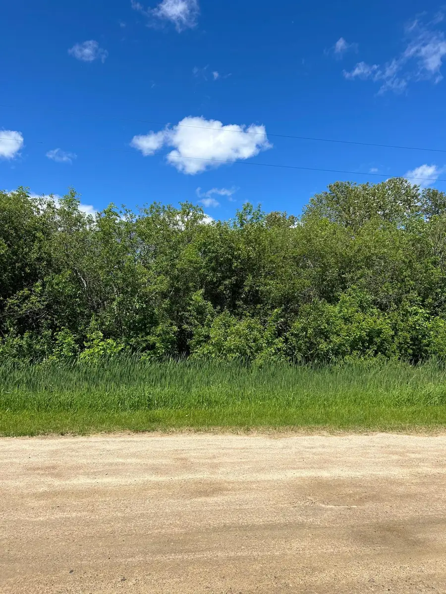 XXX Graceton Beach Road Nw, Williams, MN 56686 - #3