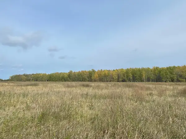 15904 Shoreline Drive Ne, Waskish, MN 56685