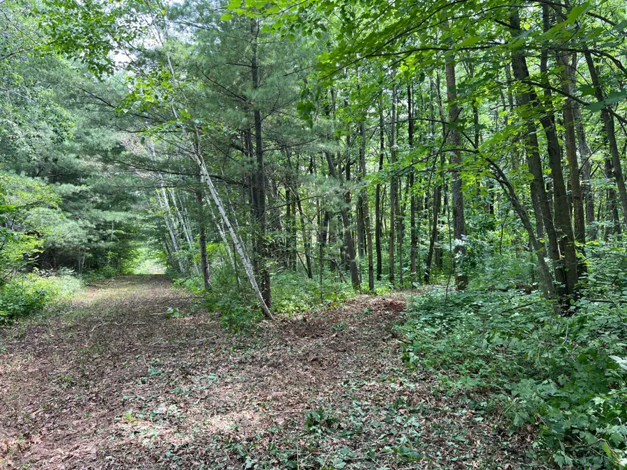 000 Cross Lake Rd, Pine City, MN 55063 - Image #2