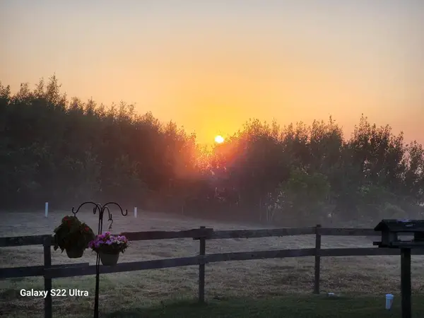 9091 52nd Street Sw, Verndale, MN 56481