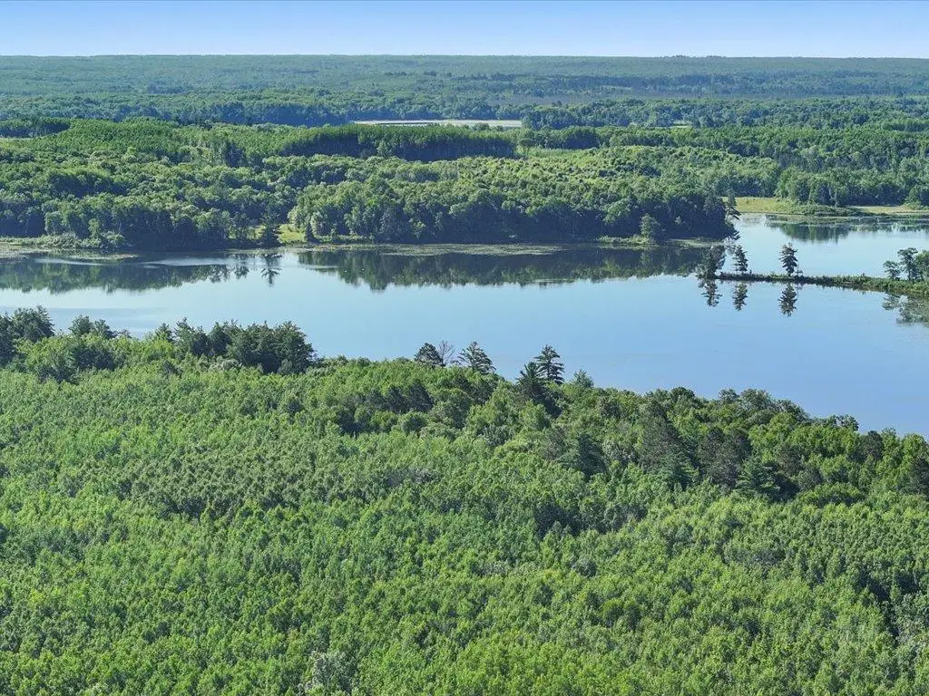 TBD State 84, Longville, MN 56655 - Image #1
