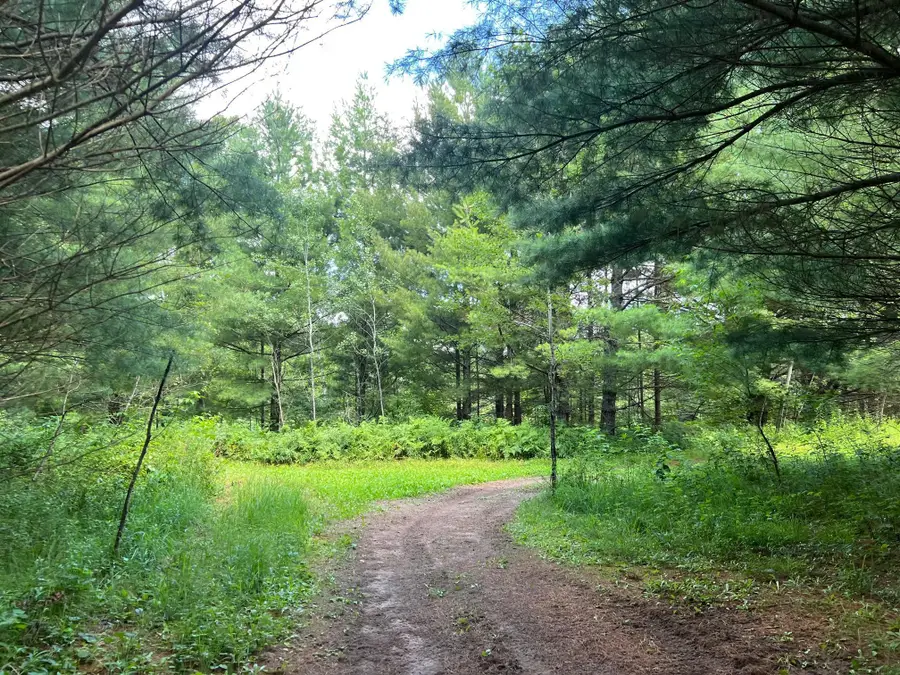 xxxxx Lily Lake Inn Road, Webster, WI 54893 - Image #2