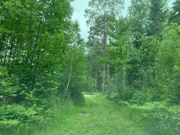 TBD Mushgee Road, Deer River, MN 56636