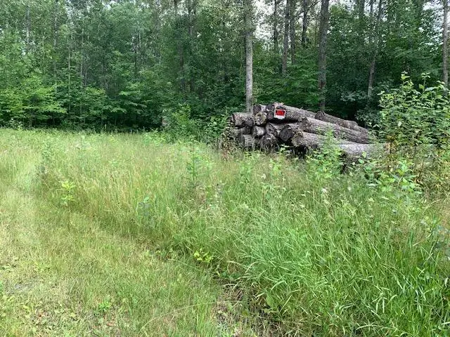 TBD Mushgee Road, Deer River, MN 56636 - Image #3