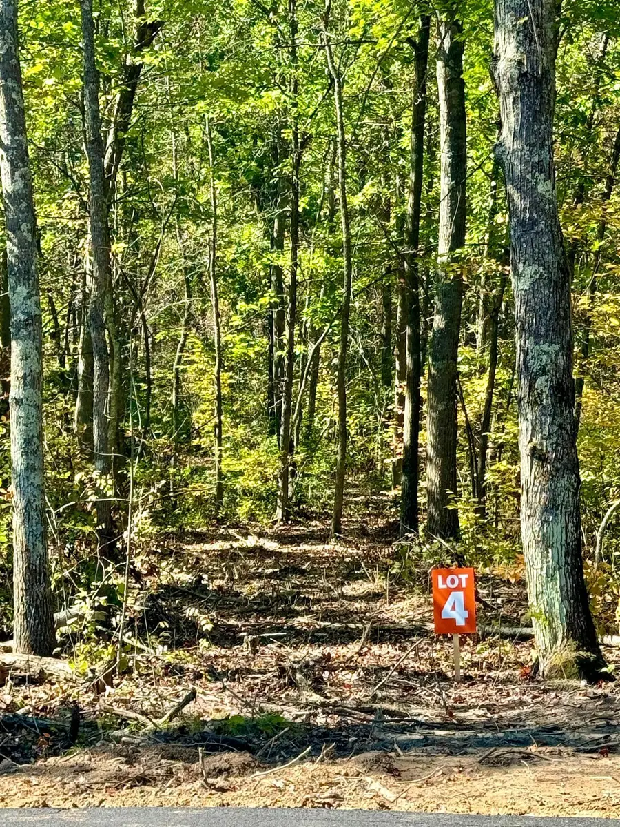 TBD4 Winter Creek Court, Nisswa, MN 56468 - Image #3