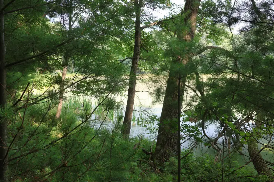 Lot 11 103rd Street, Frederic, WI 54837 - Image #2