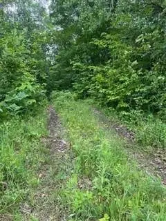 26259 County Road 26, Garrison, MN 56450 - Image #1