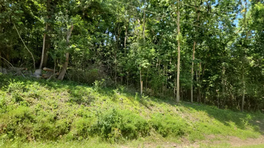 XXXX Cedar Beach Drive Nw, Oronoco, MN 55960 - #2