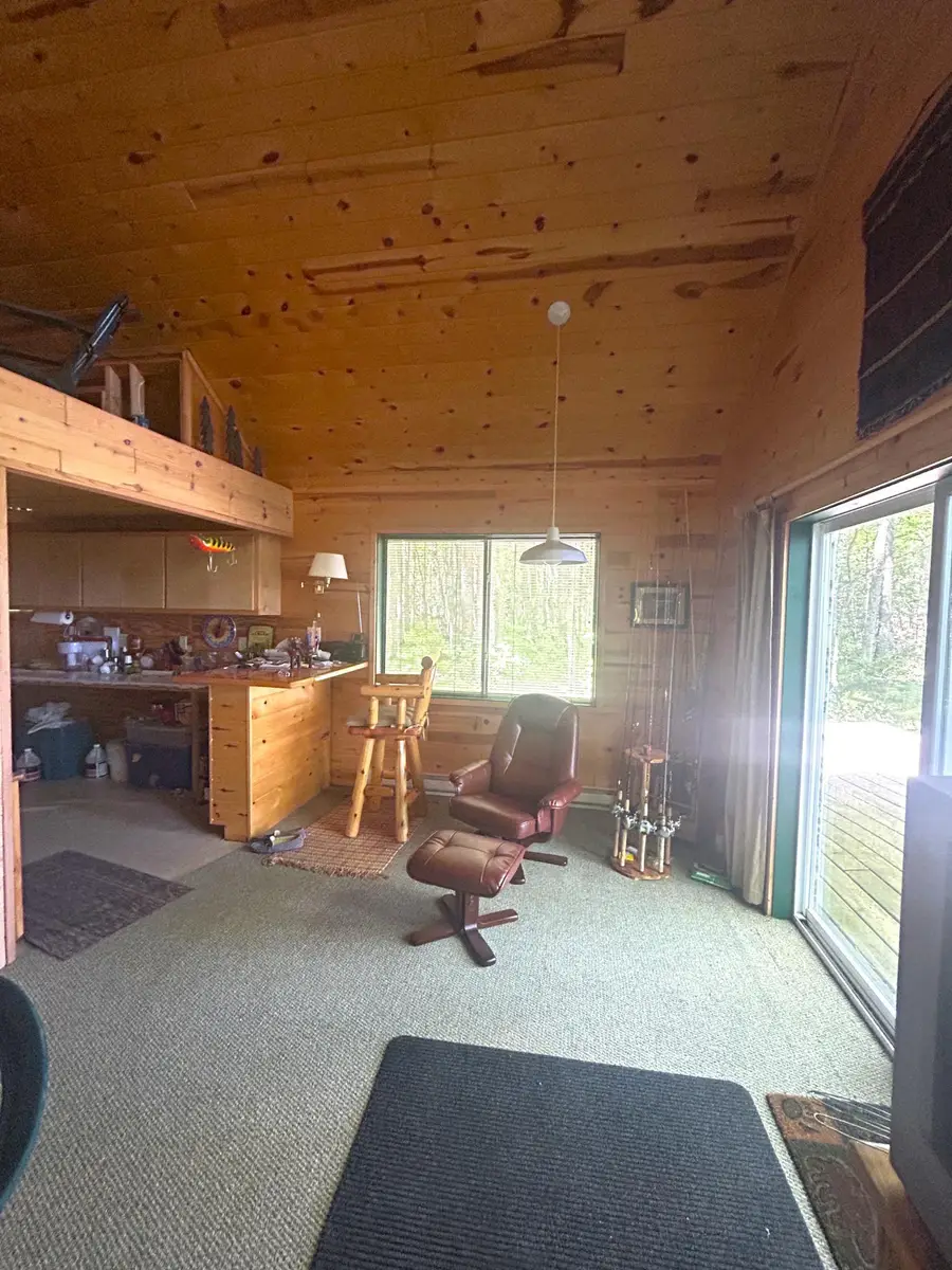 16779 Angle Shoreline, Angle Inlet, MN 56711 - #2