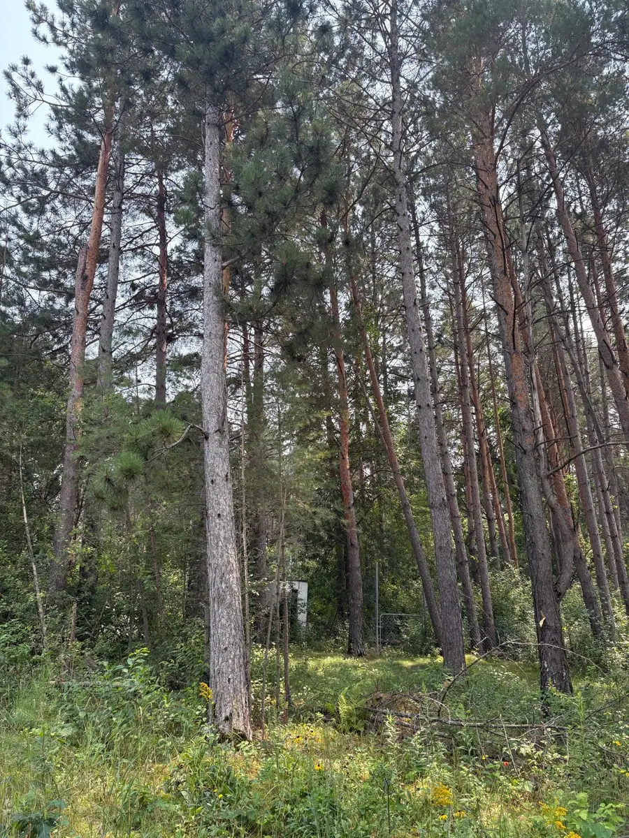 2131 N Brook View Drive, Mora, MN 55051 - Image #3