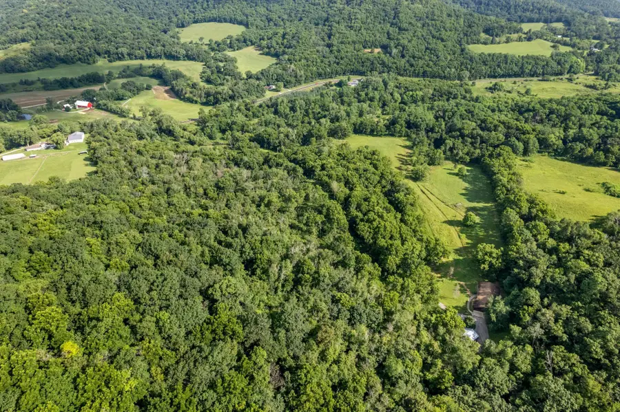 24334 County Road 9, Winona, MN 55987 - Image #3