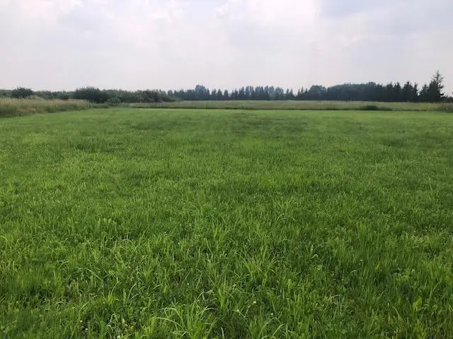 TBD Sunny Acres Road Ne, Nelson, MN 56355 - Image #3