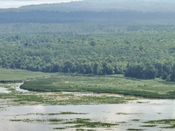 7998 Headquarters Drive Ne, Longville, MN 56655