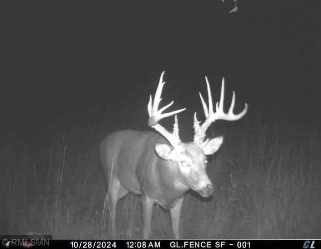 1xxx 105th Avenue Ne, Foley, MN 56329 - #1