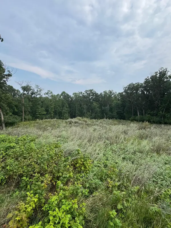 TBD N Fox Lake Lane, Detroit Lakes, MN 56501