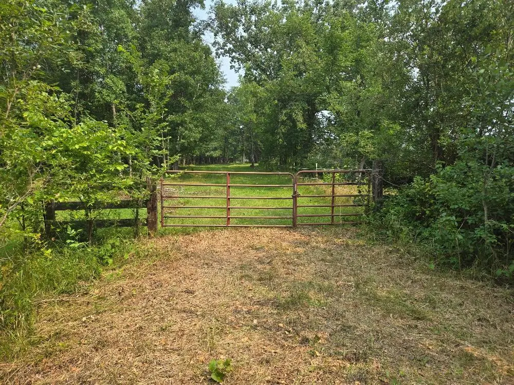 TBD State 87 Sw, Backus, MN 56435 - #1