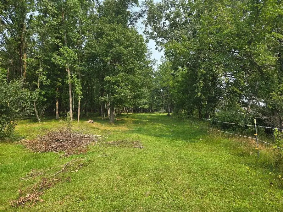 TBD State 87 Sw, Backus, MN 56435 - #2