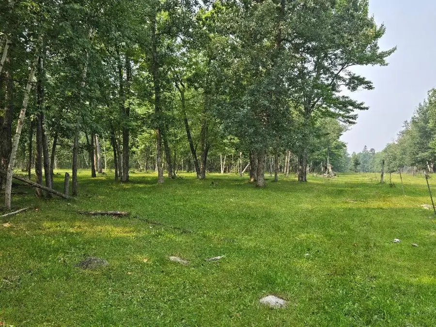 TBD State 87 Sw, Backus, MN 56435 - #3