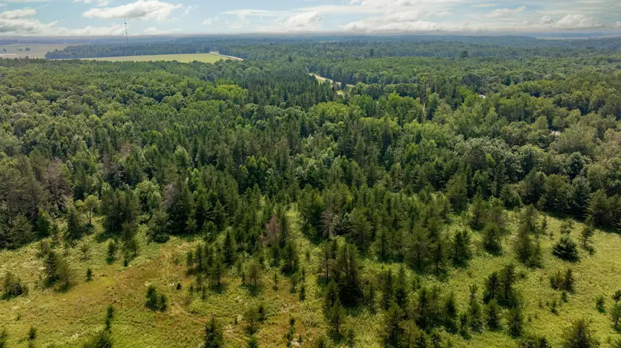 Track A Hwy 87, Backus, MN 56435 - Image #2