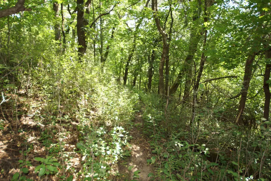 19xxx Proctor Road Nw, Elk River, MN 55330 - Image #2