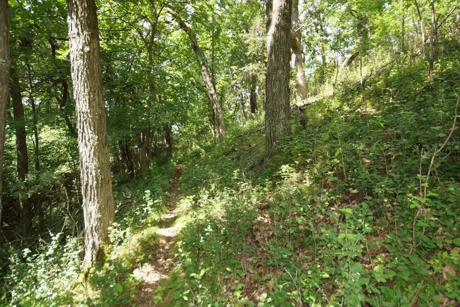 19xxx Proctor Road Nw, Elk River, MN 55330 - Image #3