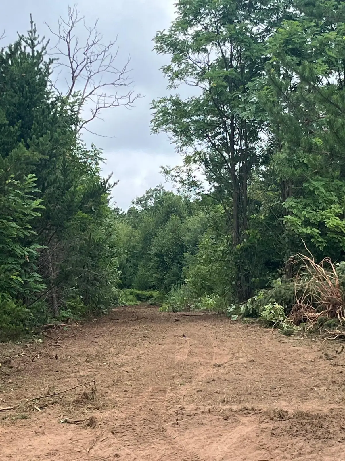 XXX Bluebird Trail, Webster, WI 54893 - #1