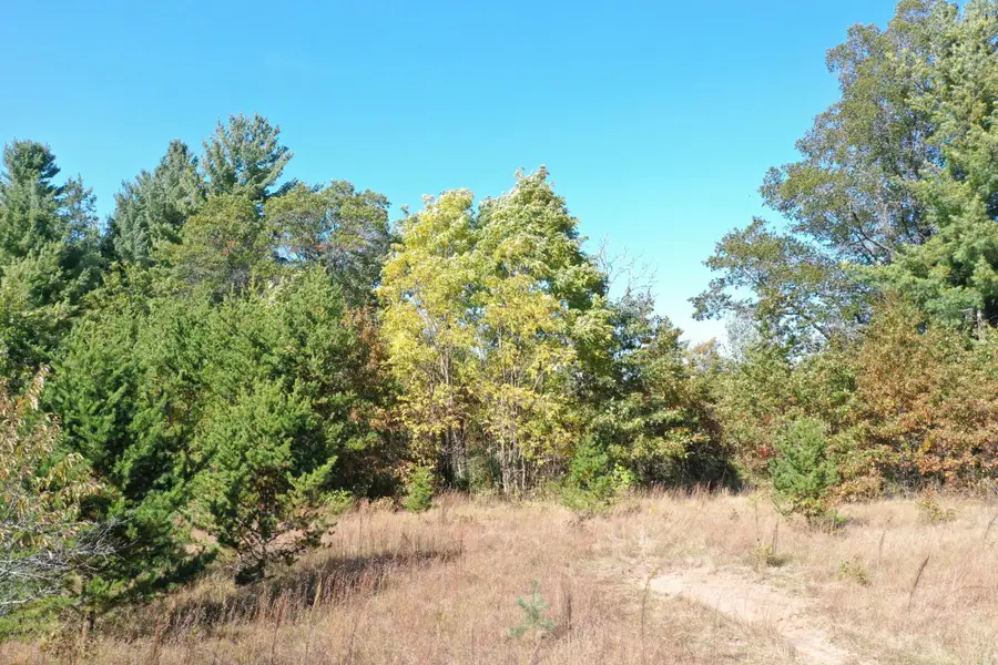 XXX Bluebird Trail, Webster, WI 54893 - #2