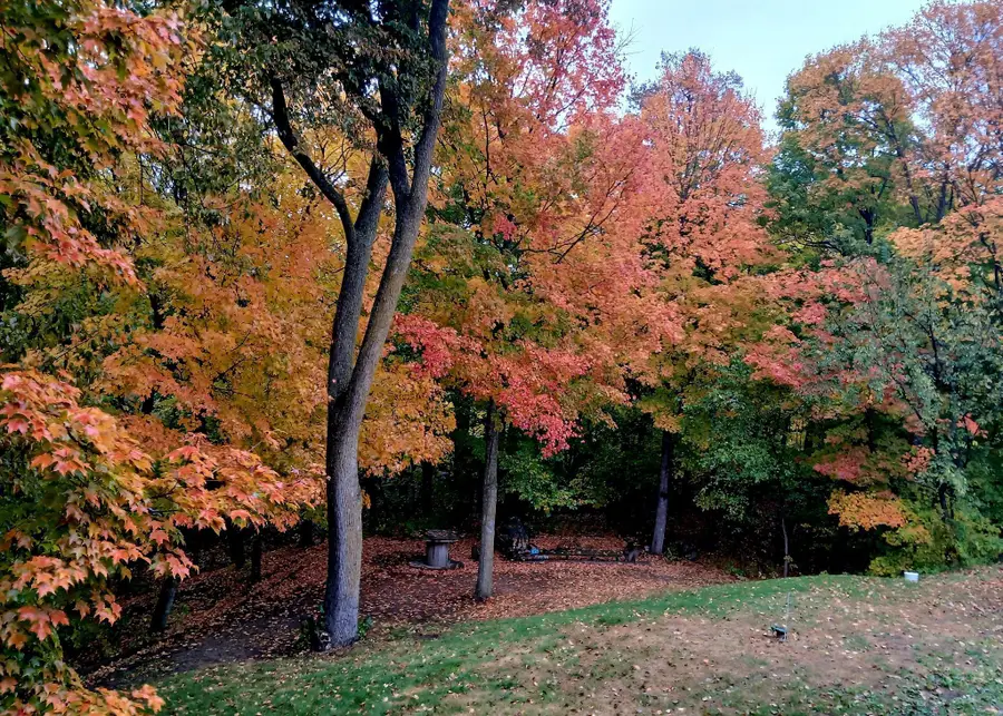 1380 90th Street Sw, Alexandria, MN 56308 - Image #2