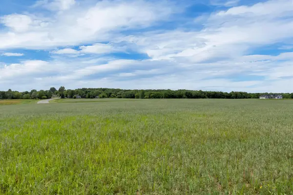 290 East Crest Loop, Saint Stephen, MN 56375