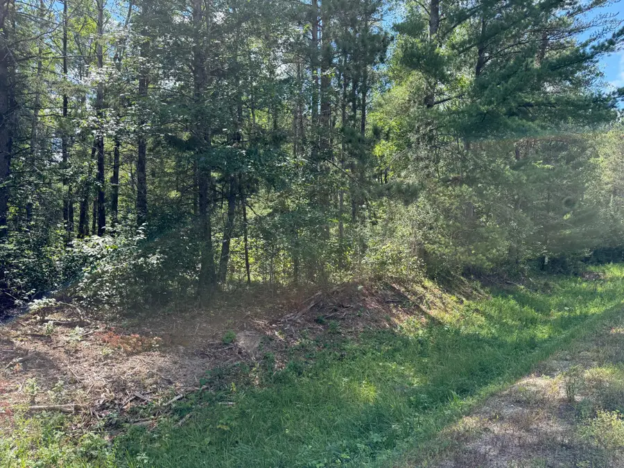 28393 County 93, Laporte, MN 56461 - #3