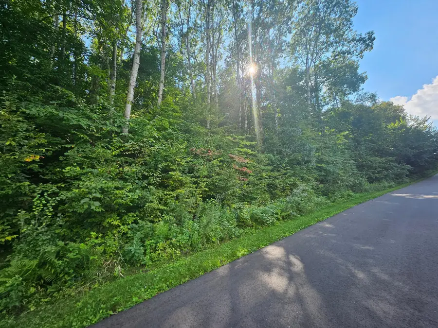 TBD 263rd Street, Shafer, MN 55074 - Image #2