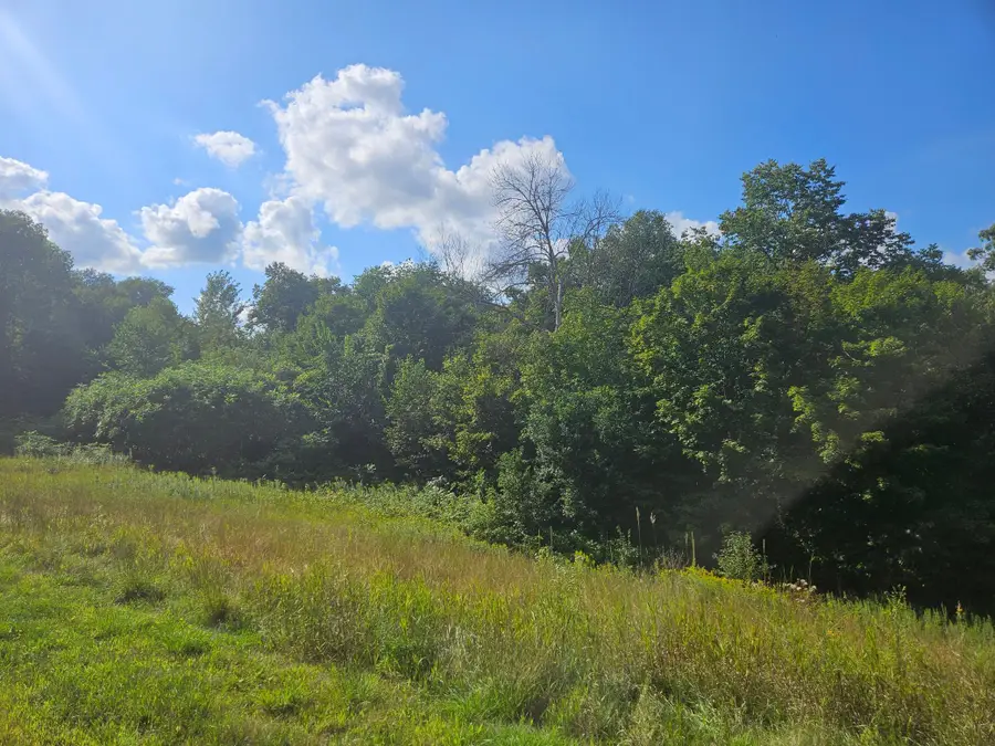 xxx 263rd Street, Shafer, MN 55074 - Image #3