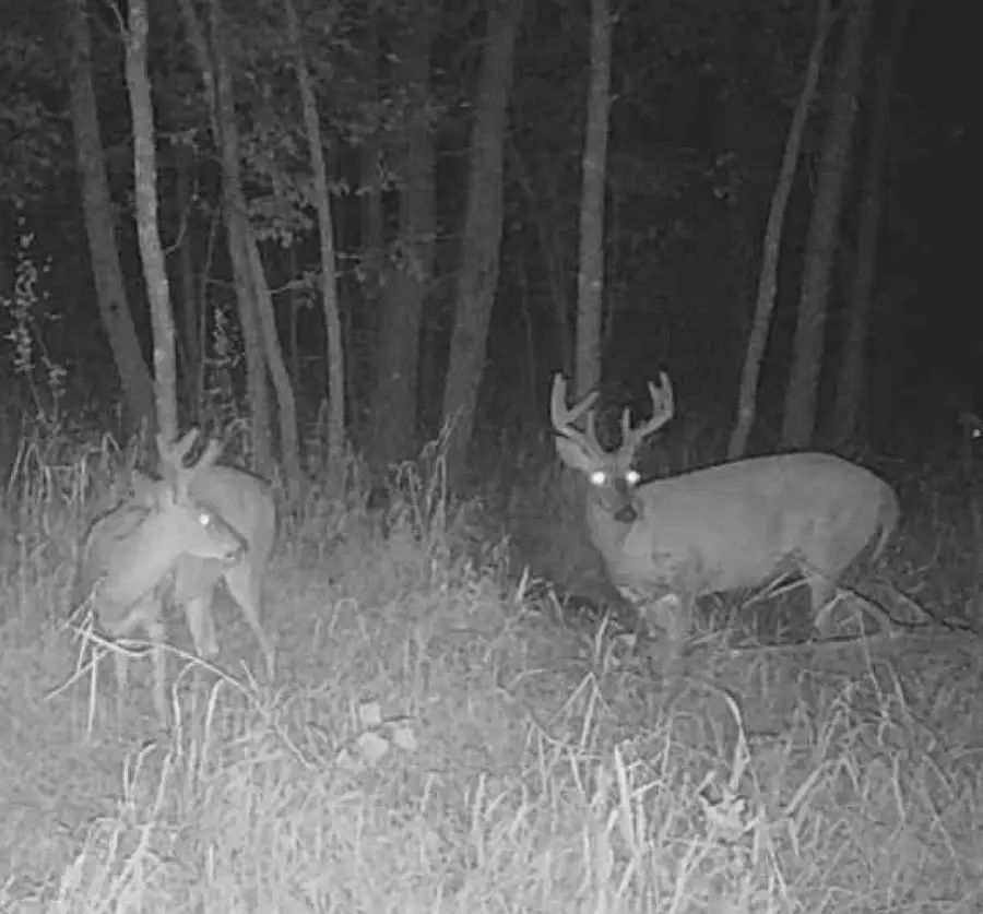 Lot 5 Butternut Road, Brainerd, MN 56401 - Image #2