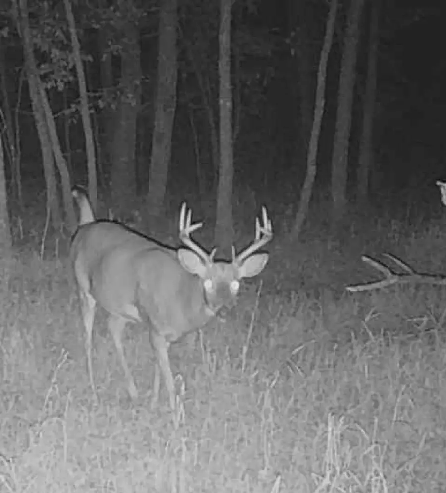 Lot 5 Butternut Road, Brainerd, MN 56401 - Image #3