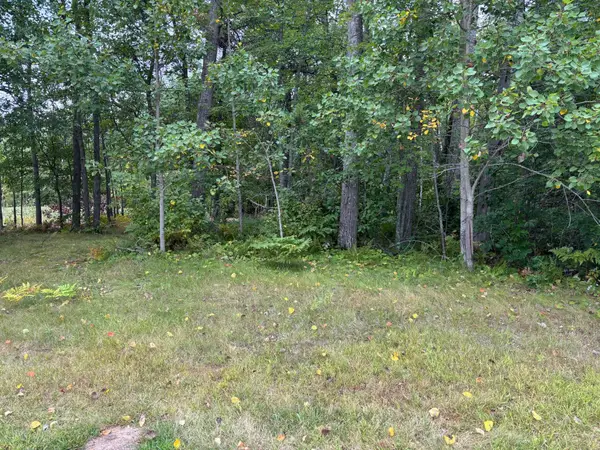 Lot 77 Airport Road, Breezy Point, MN 56472