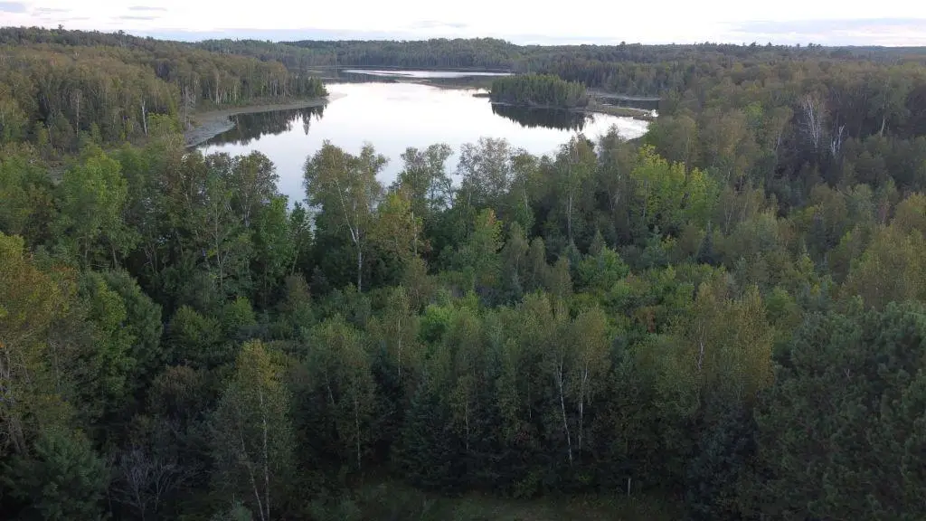 Parcel B E Gunn Lake Trail, Marcell, MN 56657 - #1