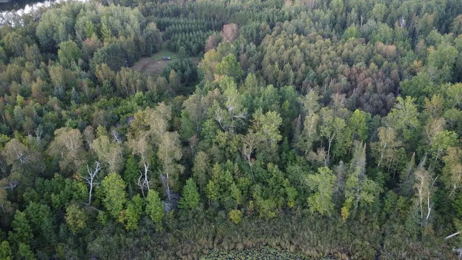 Parcel B E Gunn Lake Trail, Marcell, MN 56657 - #3