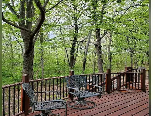 58754 415th Avenue, Mazeppa, MN 55956 - Image #3