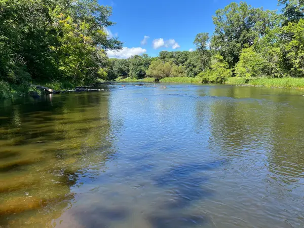 00000 River Island Road, Pine City, MN 55063