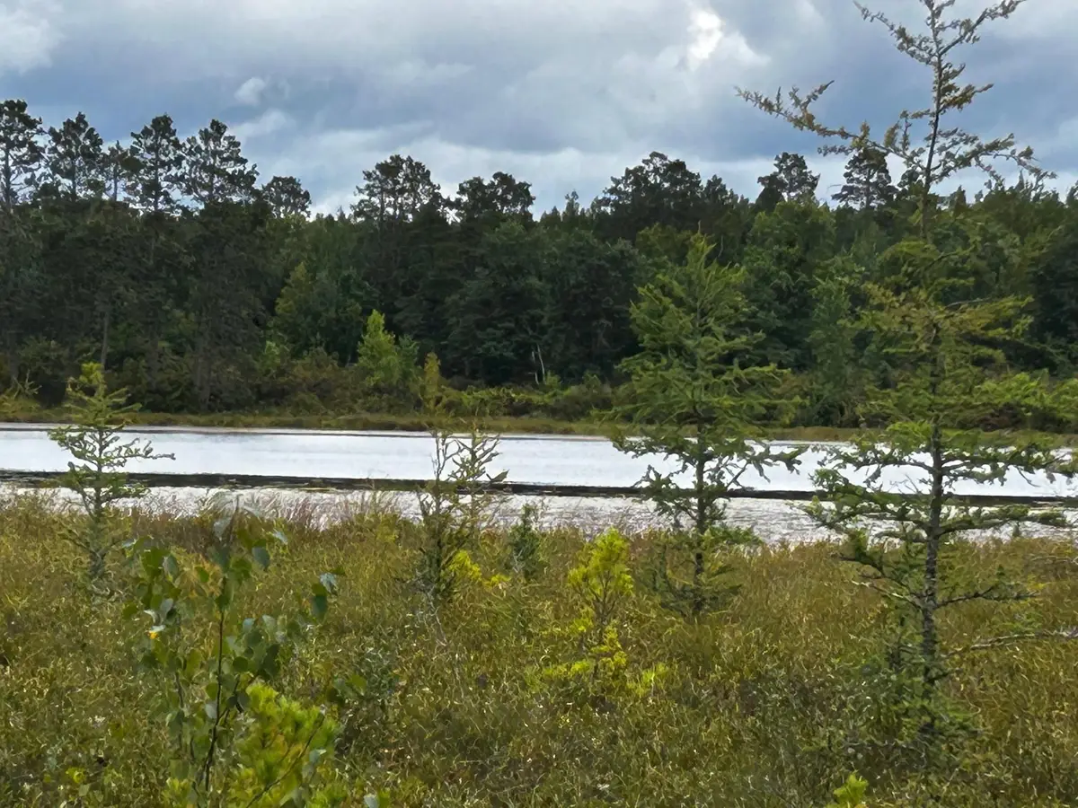 TBD Kestrel Trail Nw, Hackensack, MN 56452 - #1