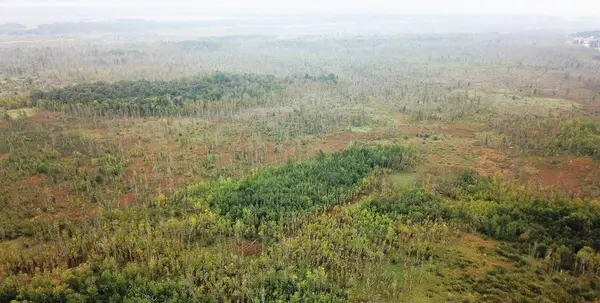 TBD 340th Street, New York Mills, MN 56567