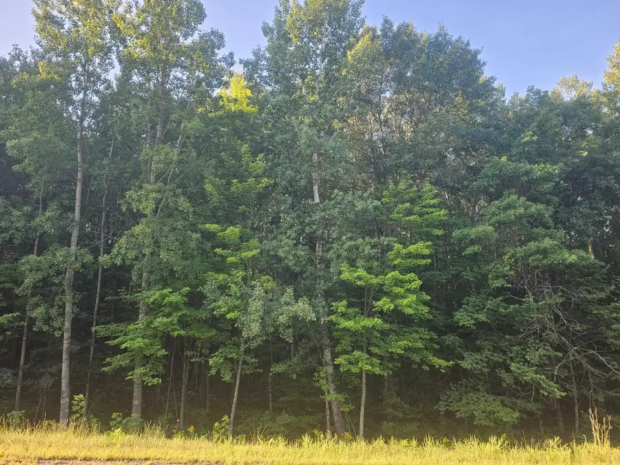 Lot 2 Ken Can Lane, Webster, WI 54893 - Image #3