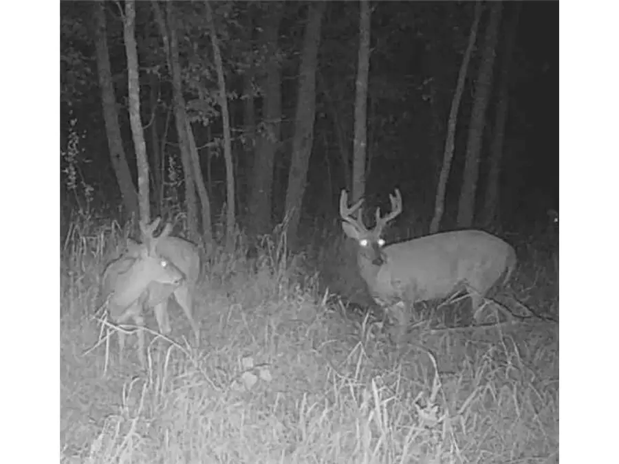 TBD Butternut Road, Brainerd, MN 56401 - Image #3