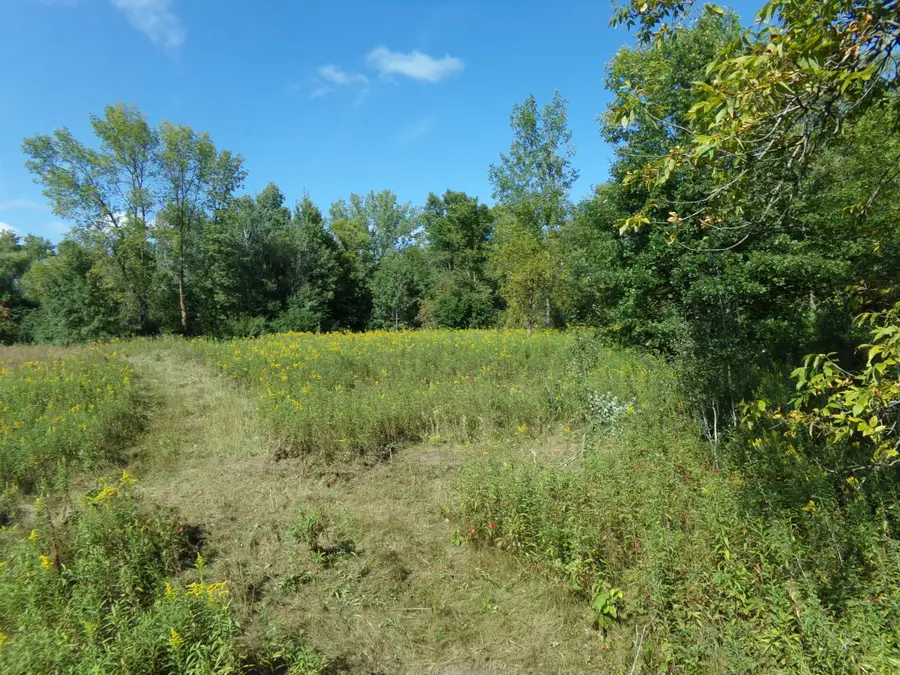 67xx Old Sawmill Road, Harris, MN 55032 - #2